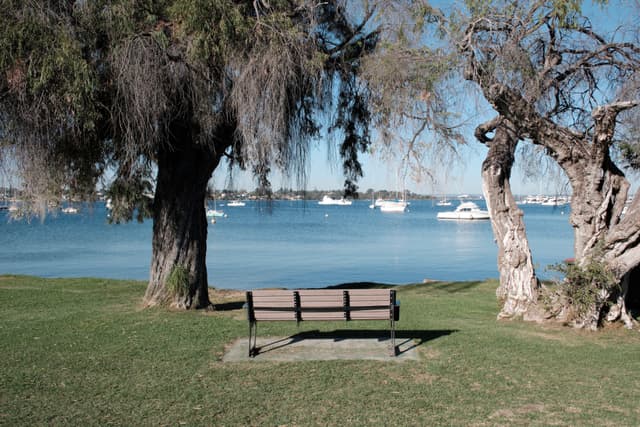 A wooden bench on a grassy area between two trees, overlooking a body of water with several boats in the distance
