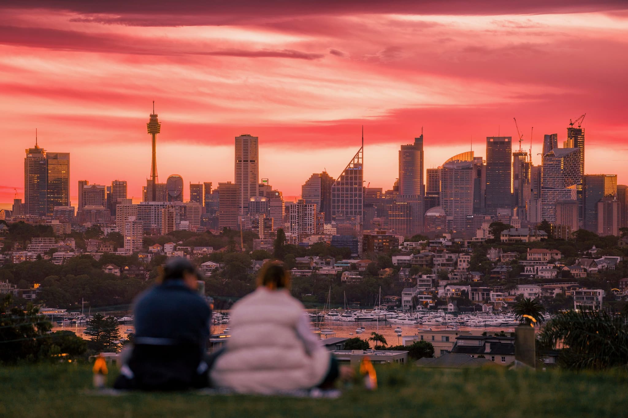 Two people sitting on a grassy hill, overlooking a city skyline at sunset with a vibrant pink and orange sky