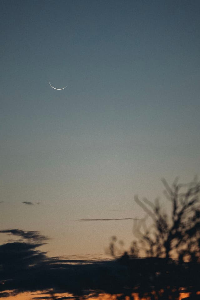 A crescent moon in a twilight sky with silhouetted trees and clouds