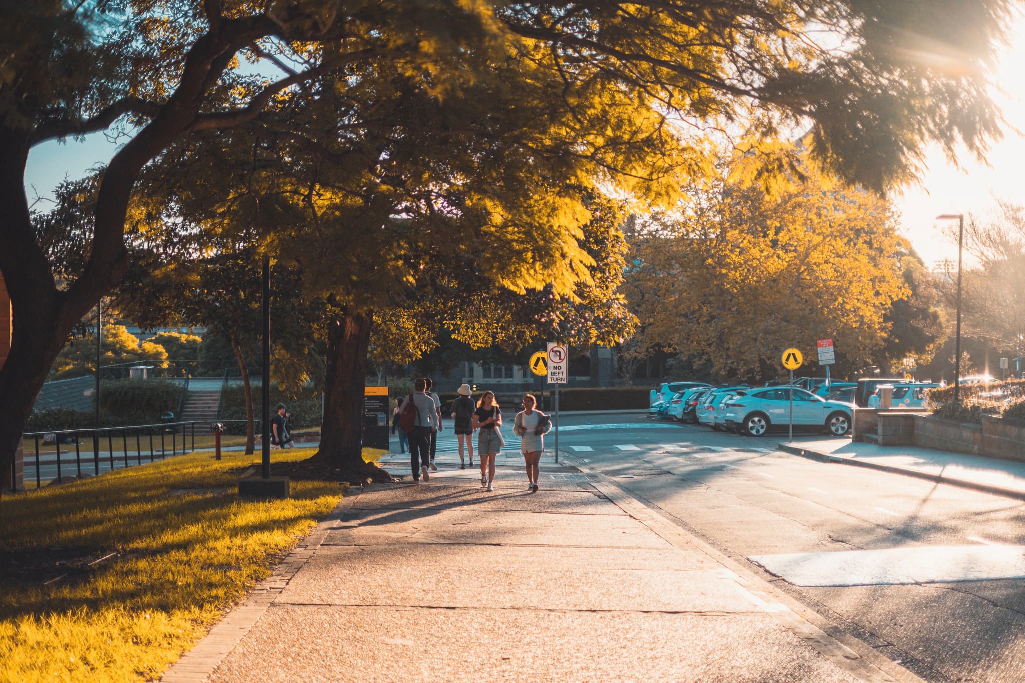 A sunlit pathway with people walking, surrounded by trees and parked cars, creating a warm, serene atmosphere