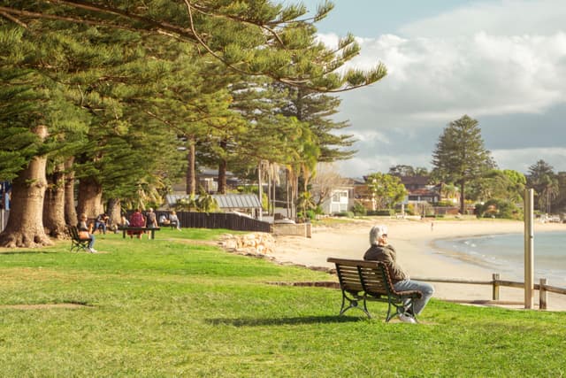 A peaceful coastal scene with a person sitting on a bench in a grassy area, surrounded by trees, overlooking a sandy beach and calm water