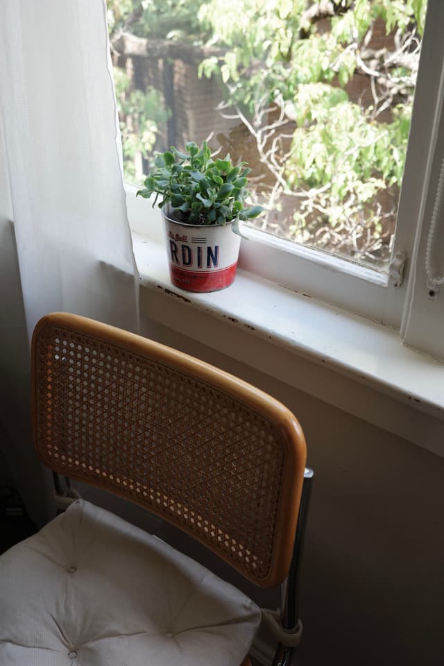 A potted plant sits on a windowsill next to a chair with a woven backrest, with sunlight streaming through the window