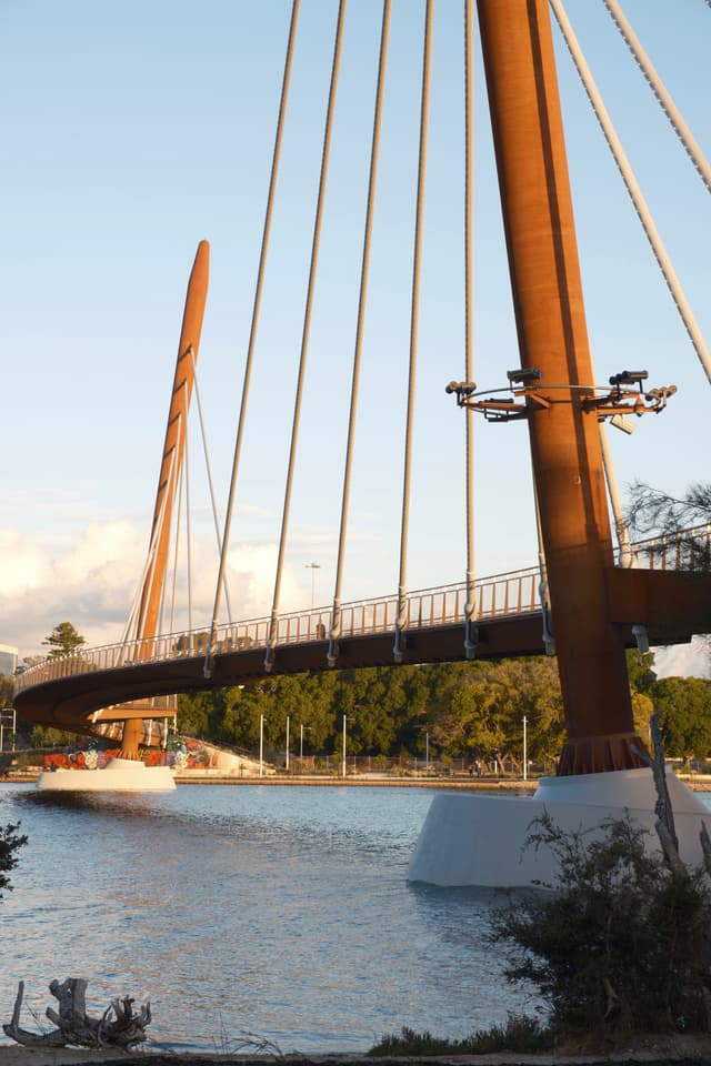 A modern cable-stayed bridge spans over a river, with tall support towers and cables. The structure is surrounded by trees and bathed in warm sunlight