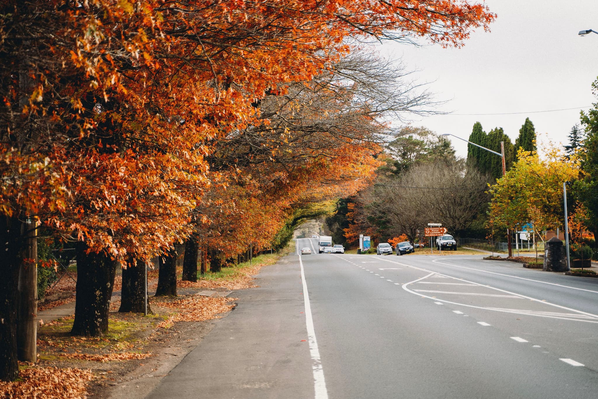 A road lined with trees displaying vibrant autumn foliage, with leaves in shades of orange and brown. The street is empty, and the sky is overcast