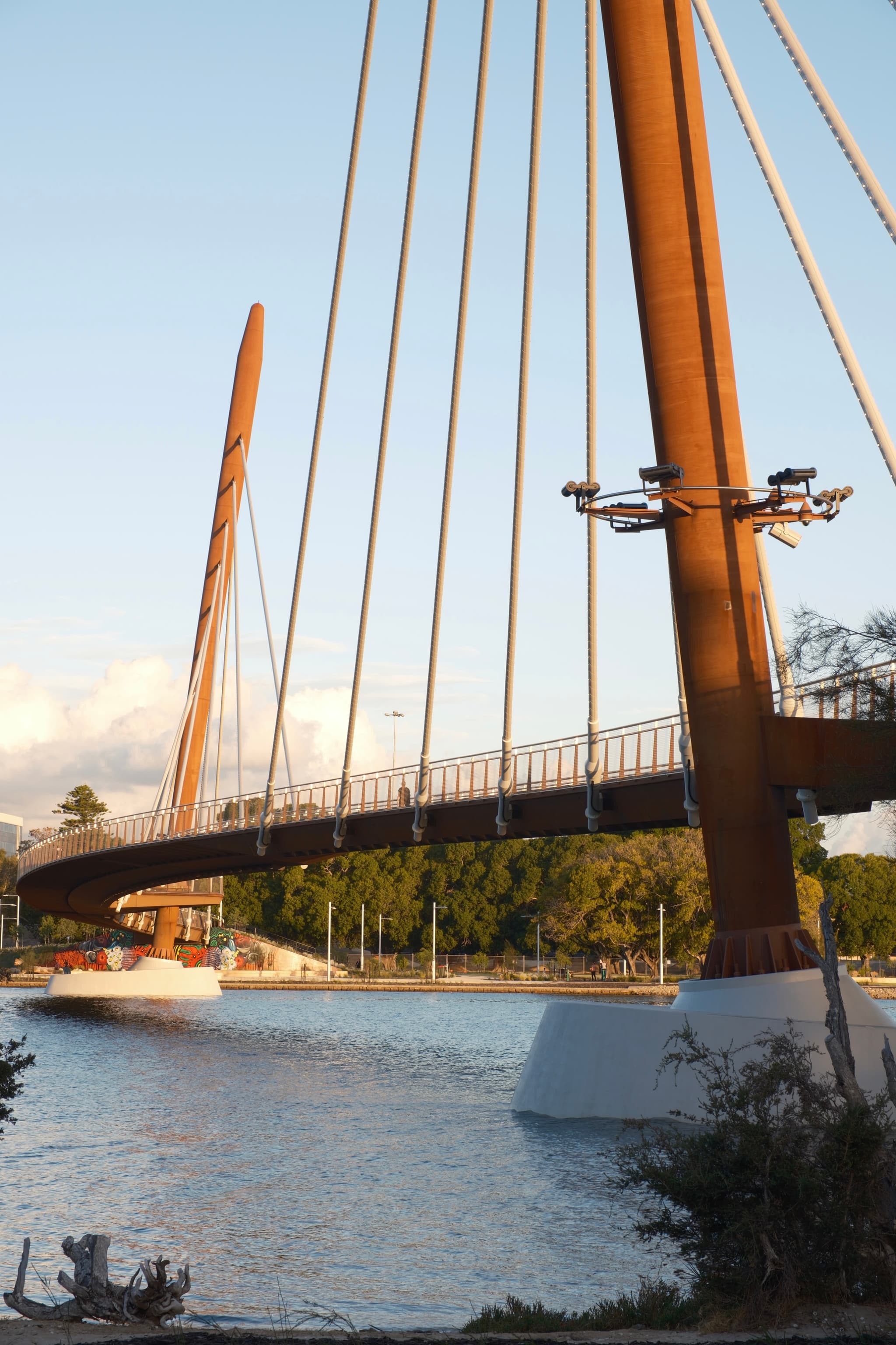 A modern cable-stayed bridge spans over a river, with tall support towers and cables. The structure is surrounded by trees and bathed in warm sunlight