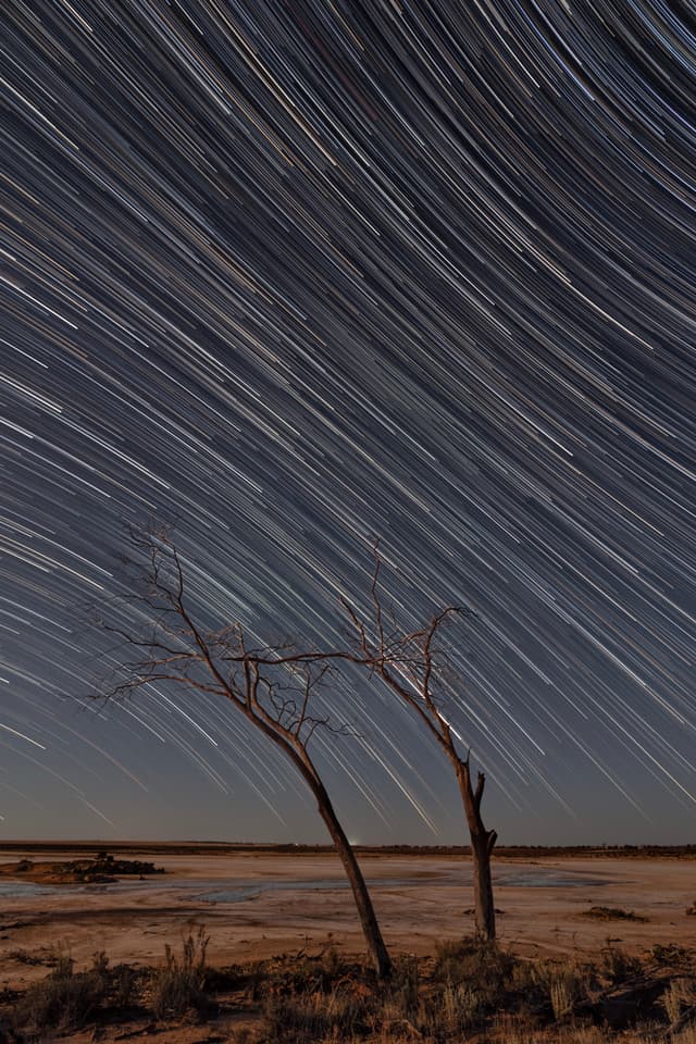 A long-exposure photograph capturing star trails in the night sky above a barren landscape with two leafless trees in the foreground