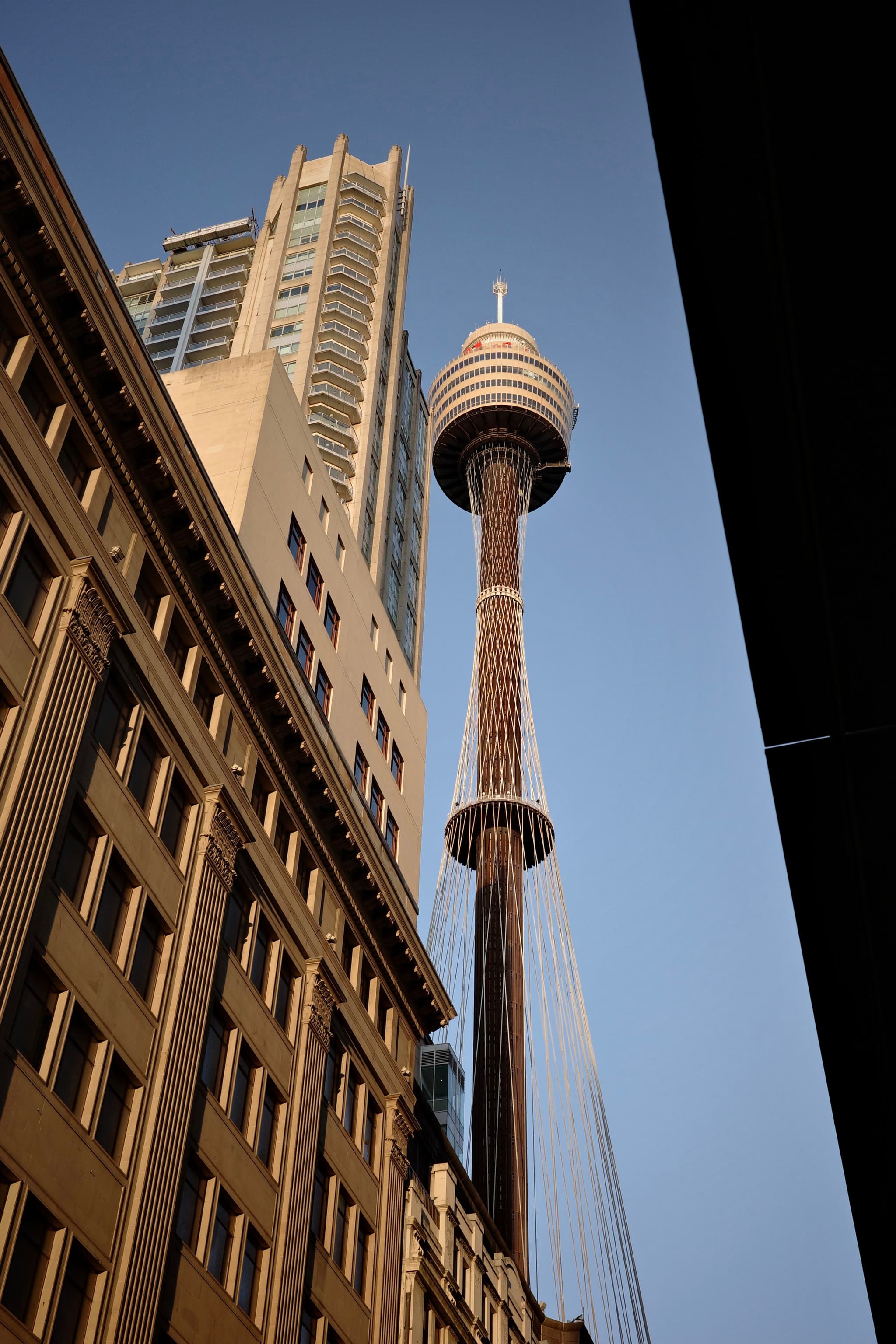 A tall observation tower with a round viewing platform, surrounded by modern buildings, set against a clear blue sky