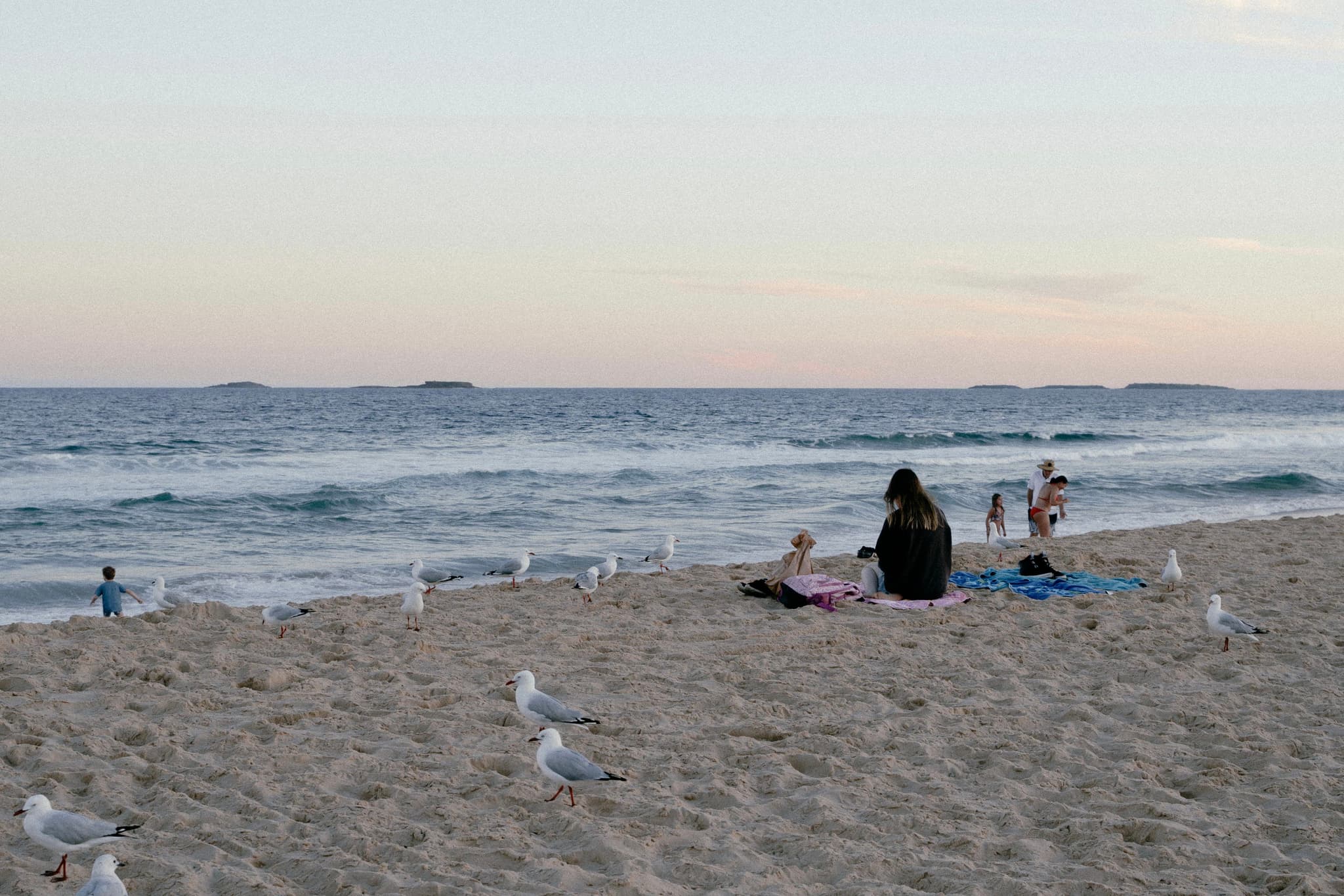A beach scene with people sitting on the sand, seagulls nearby, and the ocean in the background under a clear sky