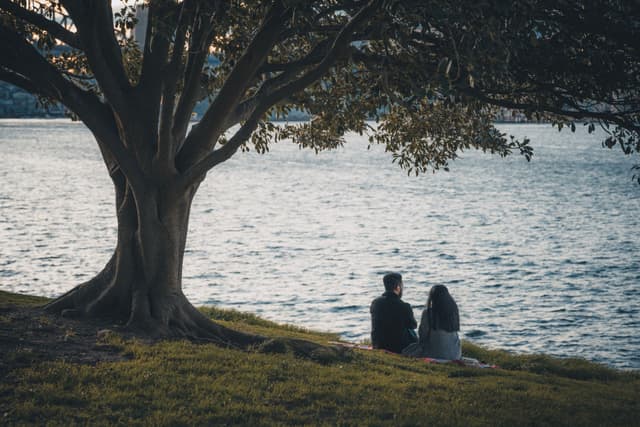 A couple sitting on grass under a large tree, overlooking a body of water