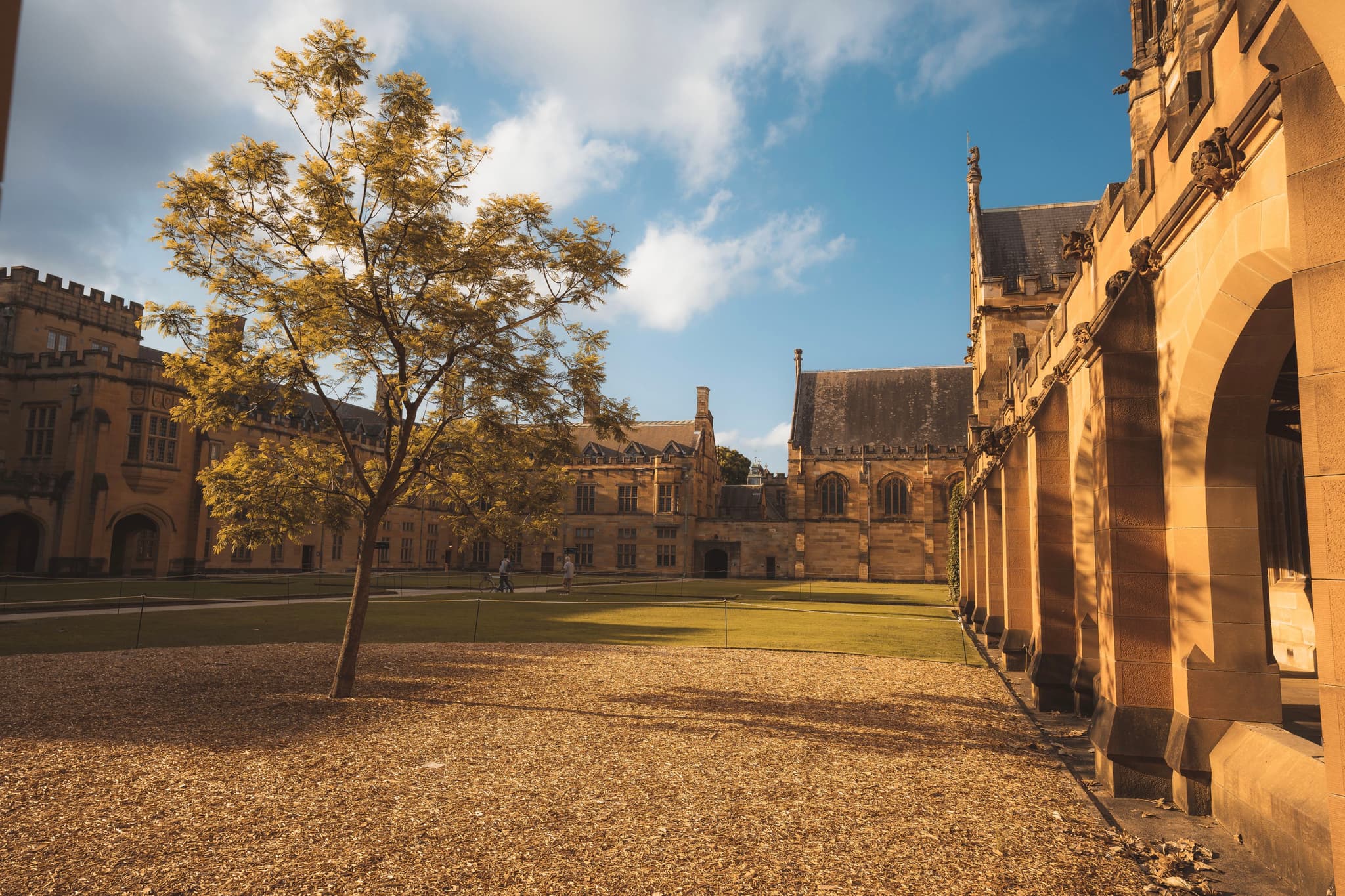 A historic courtyard with Gothic-style architecture, featuring a tree and a grassy area under a partly cloudy sky
