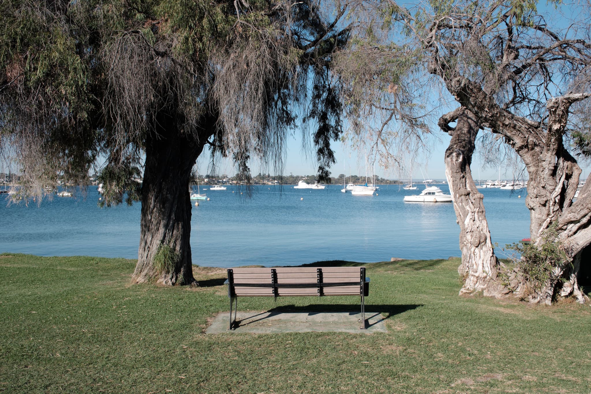 A wooden bench on a grassy area between two trees, overlooking a body of water with several boats in the distance