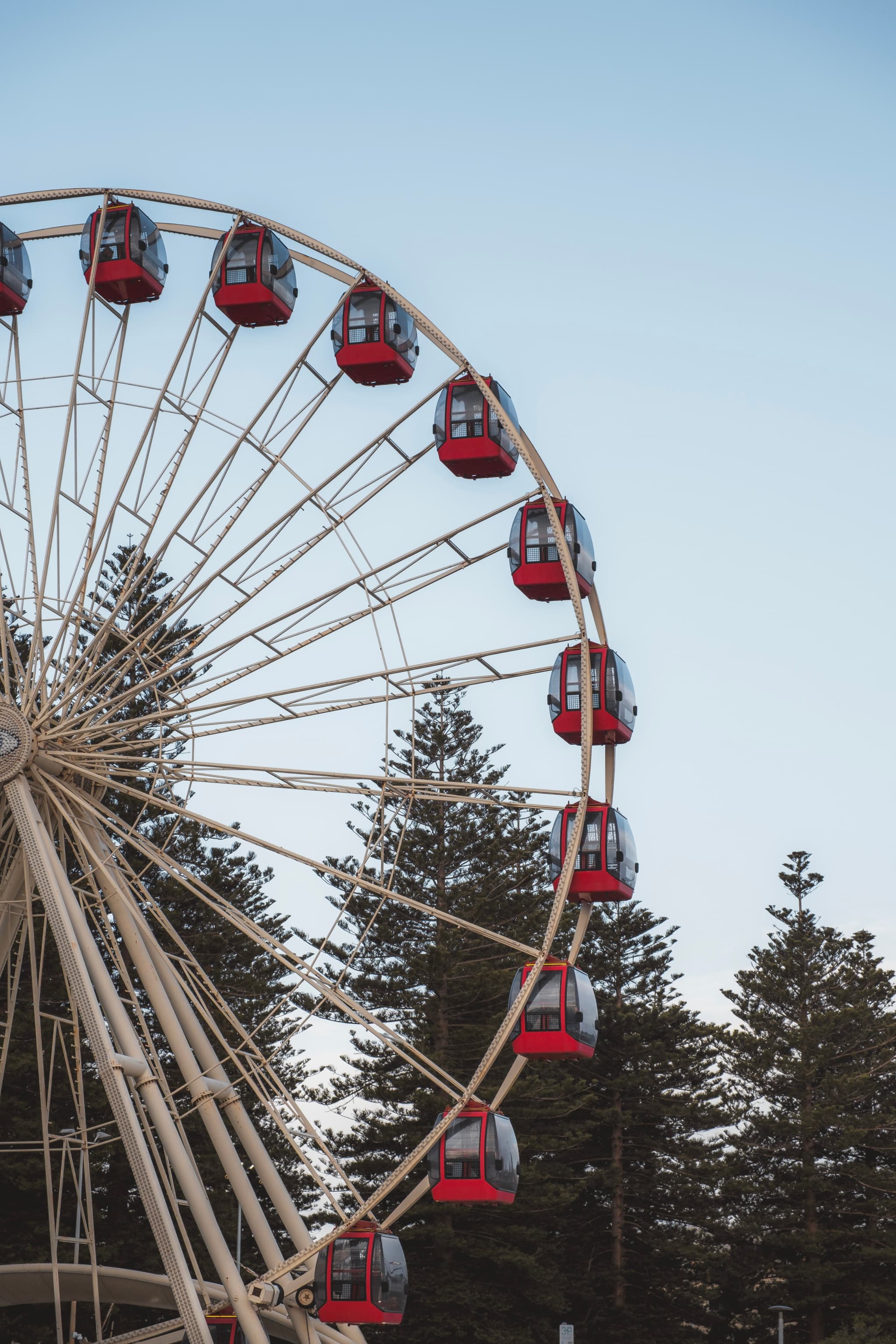 A Ferris wheel with red gondolas set against a backdrop of tall trees and a clear blue sky