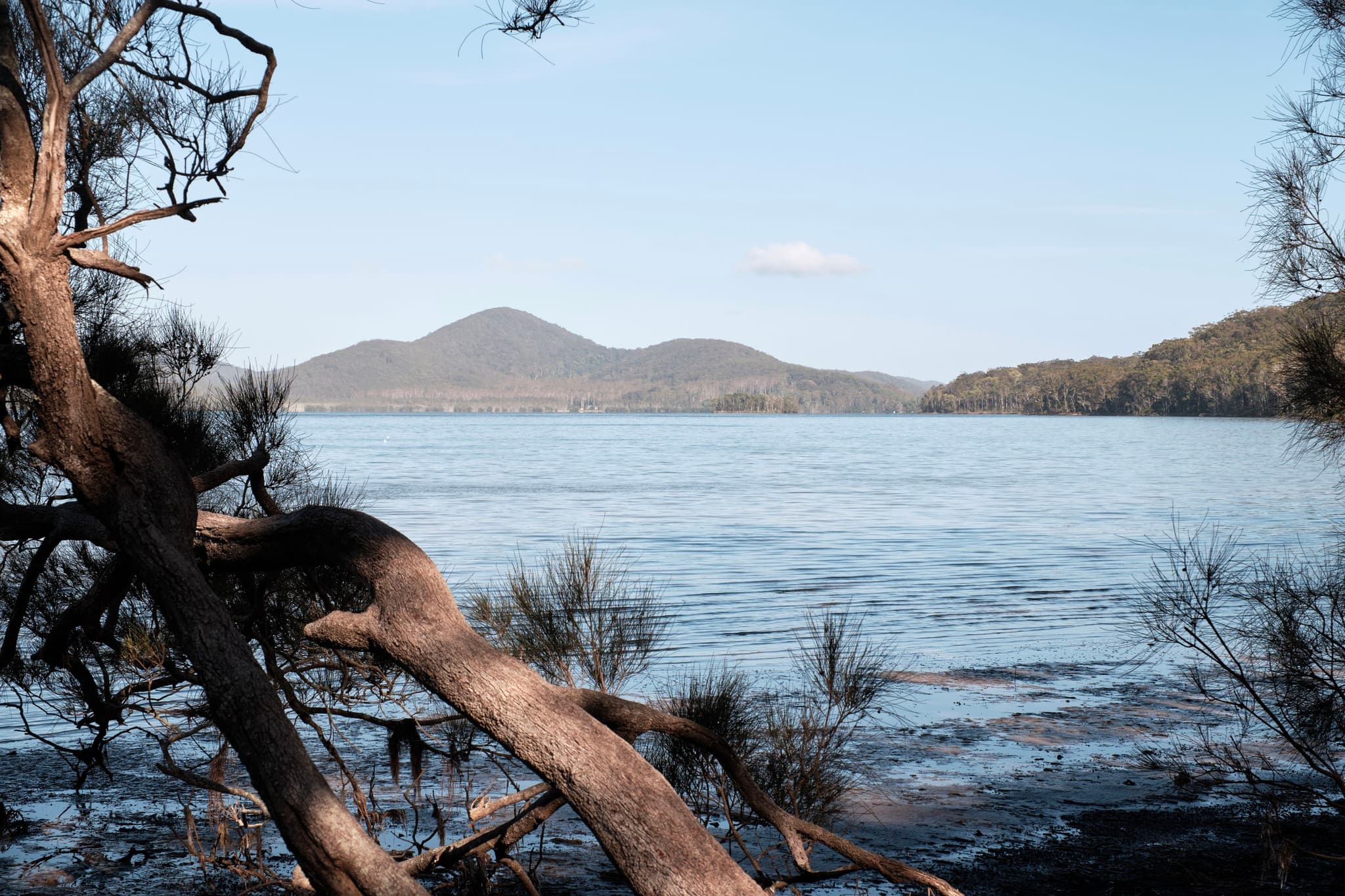 A serene lake with distant mountains under a clear blue sky, framed by tree branches in the foreground