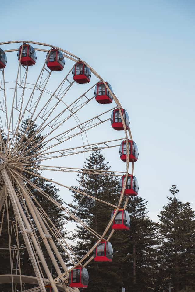 A Ferris wheel with red gondolas set against a backdrop of tall trees and a clear blue sky