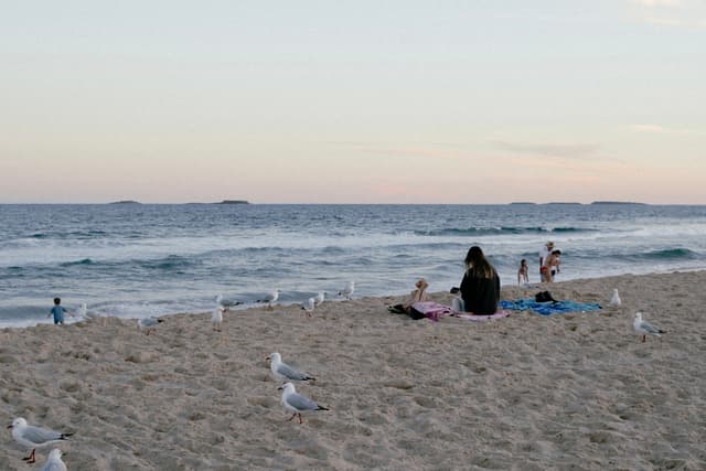 A beach scene with people sitting on the sand, seagulls nearby, and the ocean in the background under a clear sky